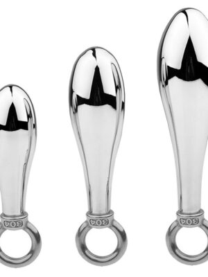Detachable Ring Hook Metal Butt Plug